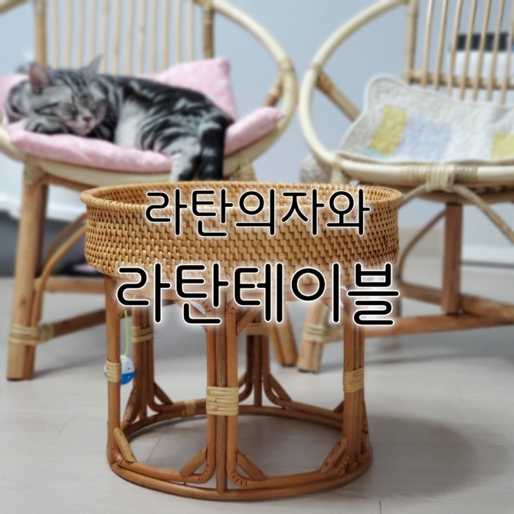 라탄테이블 다양한 쓰임새가 좋은 내돈내산 찐후기 라탄테이블 다양한 쓰임새가 좋은 내돈내산 찐후기