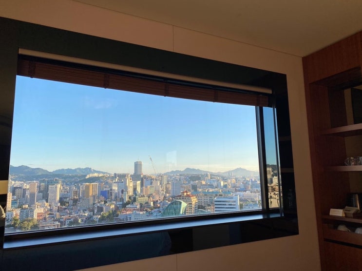  정신 없었던 일주일 기아대책후원 결과