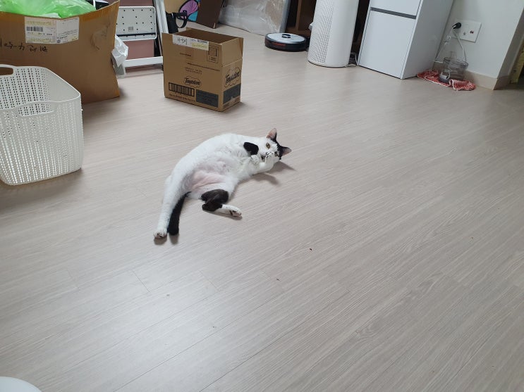 15년 만의 단체샷
