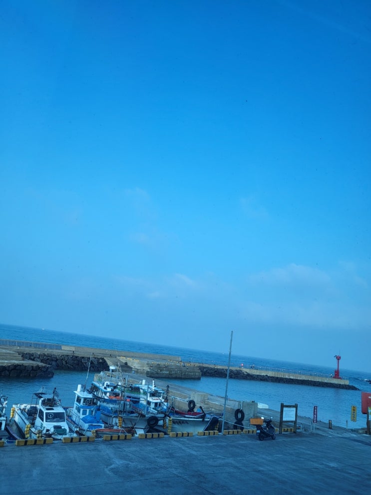  [3박 4일 가을 제주여행]  스타벅스 제주협재점(한정메뉴), 협재해수욕장, 협재 온다 정, 비양도 여행 찐후기
