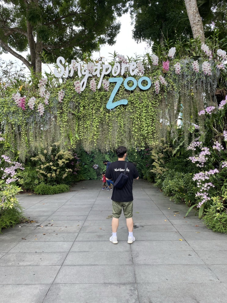  싱가포르 동물원 후기!! #Singapore Zoo #River Safari