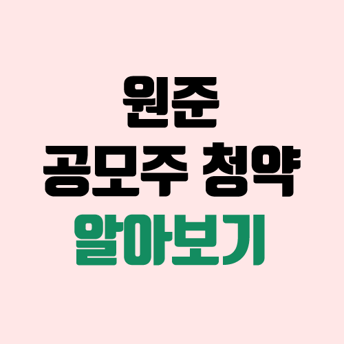 원준 공모주 청약 (장외가, 공모가, 경쟁률 / 유통 물량 / 보호예수 / 지분) 원준 공모주 청약 (장외가, 공모가, 경쟁률 / 유통 물량 / 보호예수 / 지분)