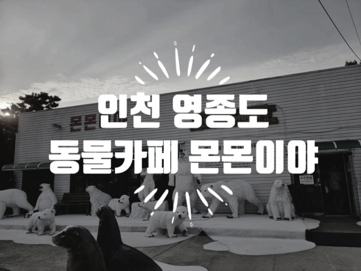  인천 영종도 아이와 가볼만한곳 동물카페 몬몬이야