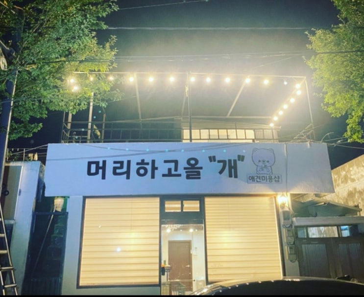  목포전기온수기 RZF-15L  대성전기온수기 신규설치 목포 머리하고올개 애견미용샵 강아지미용실