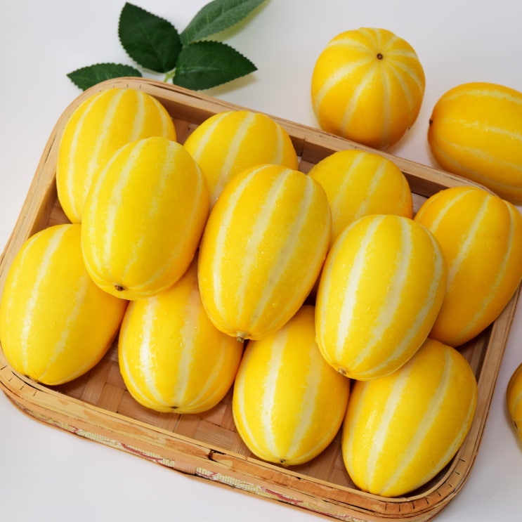 인지도 있는 성주 원예 농협 꿀 참외 5kg 선물용 가정용, C. 성주 꿀참외 2kg 좋아요 인지도 있는 성주 원예 농협 꿀 참외 5kg 선물용 가정용, C. 성주 꿀참외 2kg 좋아요
