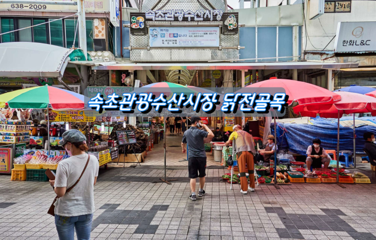 먹거리 풍성한 속초 관광수산시장 닭전골목