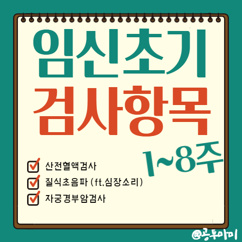  임신 초기 사전 검사 항목, 종류, 시기, 비용은 얼마일까?