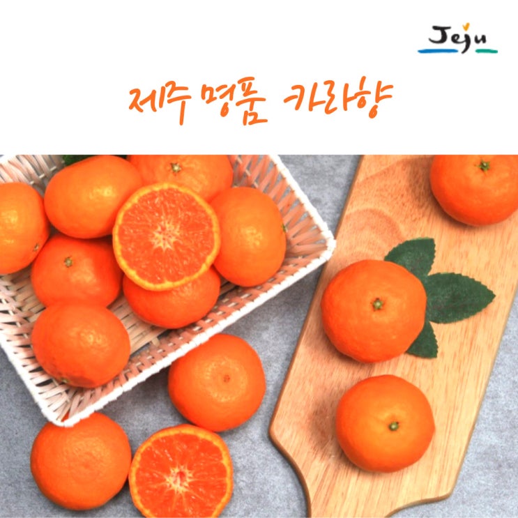 많이 찾는 디카운티 명품 카라향 제주 산지직송 햇 고당도 귤로향 남진해 황금향 타이백 감귤 3kg 5kg 10kg 가정용 선물용 부모님 선물, 02. 제주 카라향 로얄과 벌크 3k