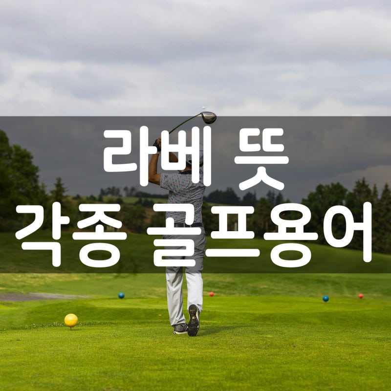 라베 뜻 알고계신가요? 다양한 골프용어의 세계! : 네이버 블로그 라베 뜻 알고계신가요? 다양한 골프용어의 세계! : 네이버 블로그