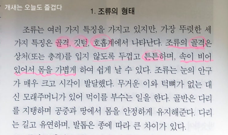  새의 무게