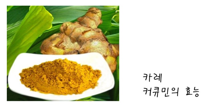  강황(울금).커큐민 효능