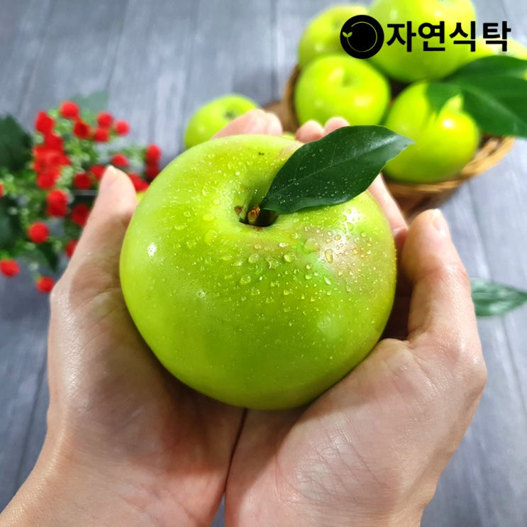  인기있는 [자연식탁]21년 첫출하 가정용 썸머킹 햇사과 2kg 소과(14과내외), 단품 추천합니다