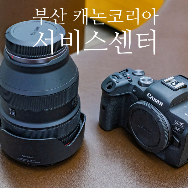 부산 캐논카메라서비스센터 미러리스 R6 렌즈 RF 28-70 내부청소 및 컷수 확인