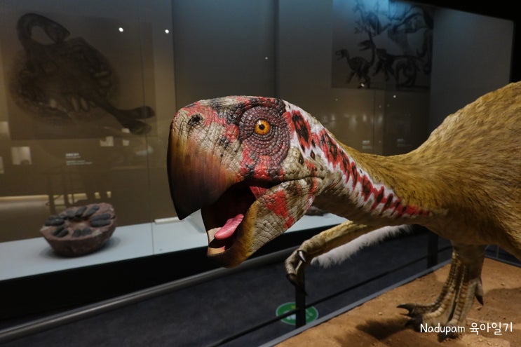 목포자연사박물관 공룡탐험 아이와가볼만한곳추천
