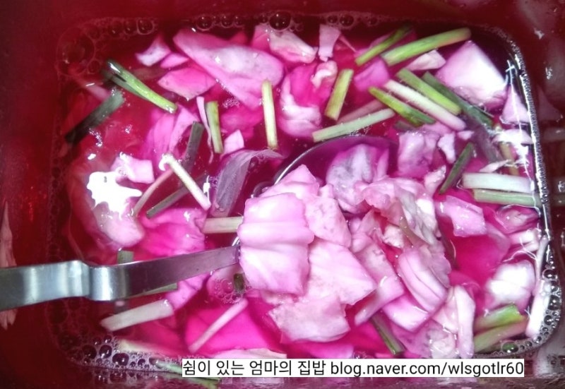 양배추물김치 양배추 비트 물김치