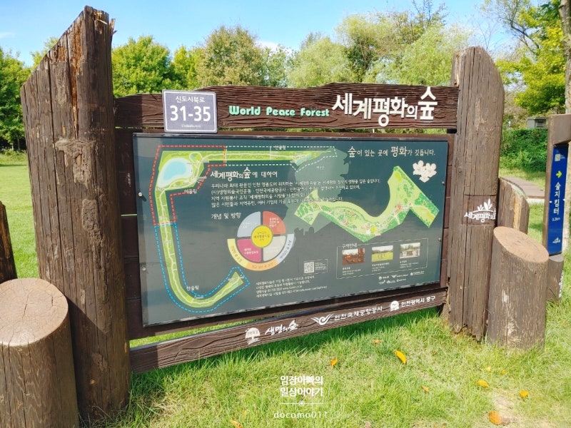 영종도 가볼만한 곳 - 세계평화의숲 (유수지공원) 초가을 풀리뷰 Full Review of World Peace Forest in ....