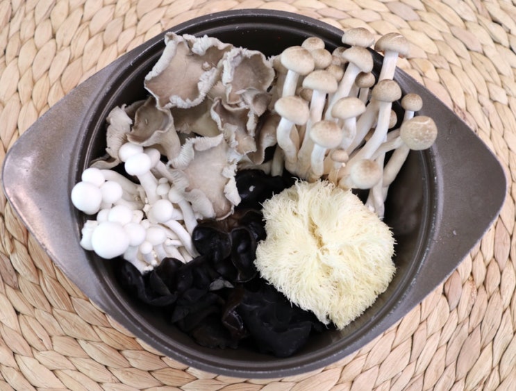버섯전골 레시피 머쉬러브 자연산 유기농버섯으로 맛있게 만들기