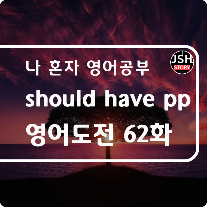 영어도전 제62화 / should have pp