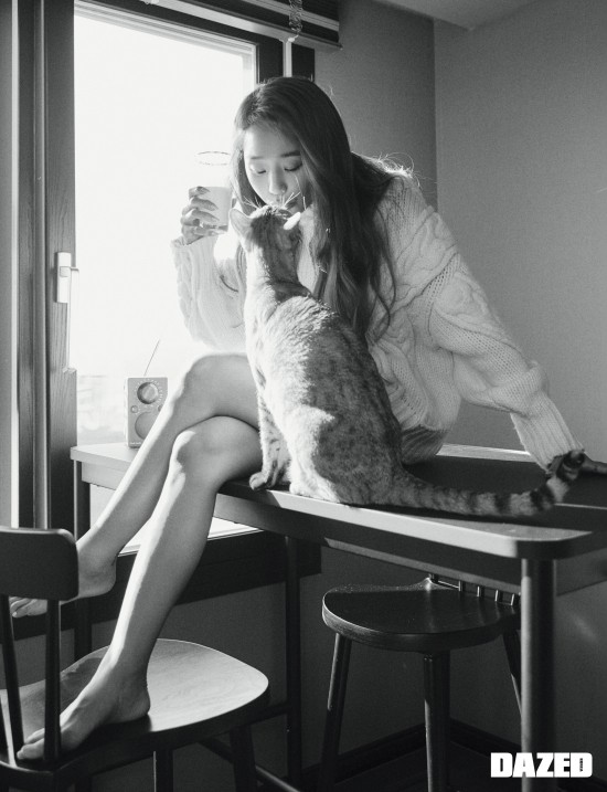  죽은 반려묘 반려견을 기리는 노래 효린 My Love