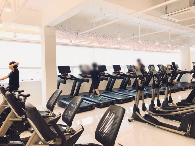 [제주시 지역별 휘트니스 할인혜택정보]최대 35% 즉시할인! 신제주,구제주,외도,삼화지구!