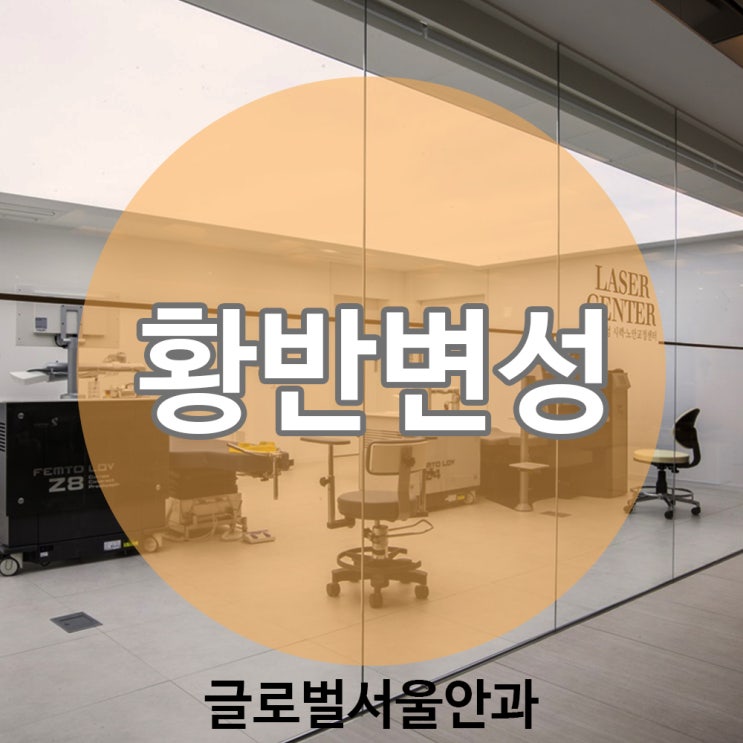 강남안과 실명까지 이를 수 있는 황반변성 강남안과 실명까지 이를 수 있는 황반변성