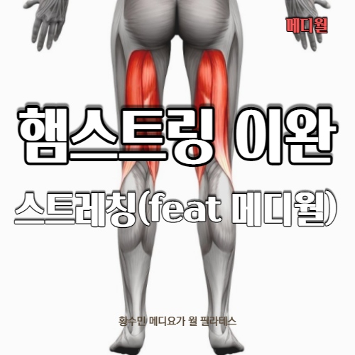  햄스트링 이완 월(Wall) 스트레칭은 동두천 메디월(MediWall)에서~
