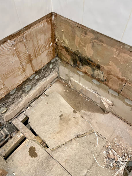  누수 분쟁_누수 전문가를 불러서 어디서 문제가 발생했는지 명확하게 따져 묻는 것이 좋습니다.