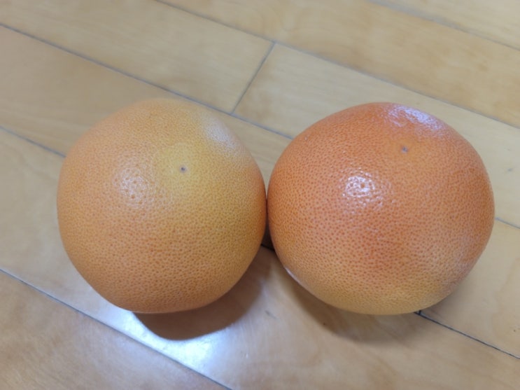  강아지 자몽 먹어도 되나요? 저는 주지 않아요