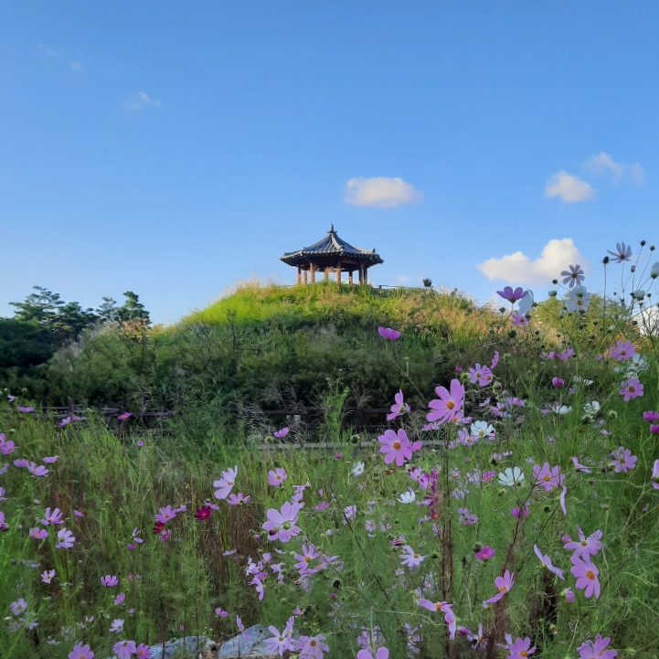 [Diary] 영화 미드나잇 인 파리 - 월미공원 - 월미산