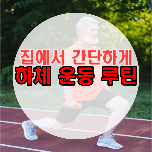 직장인 홈트레이닝 하체 운동 루틴(ft. 하루노트 활용법)