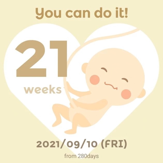  임신19주-21주+4일 :: 태동시작 / 정밀초음파 / 특발성혈소판감소증 / 분당서울대병원 정기검진
