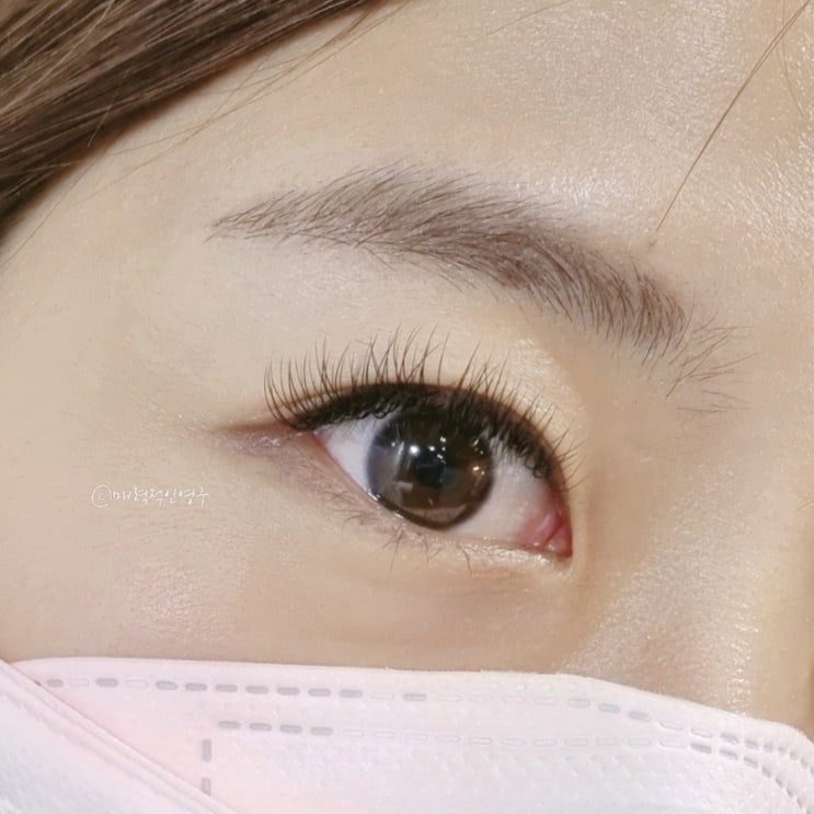 서울대입구 속눈썹 연장 잘하는 블랙여우 c
