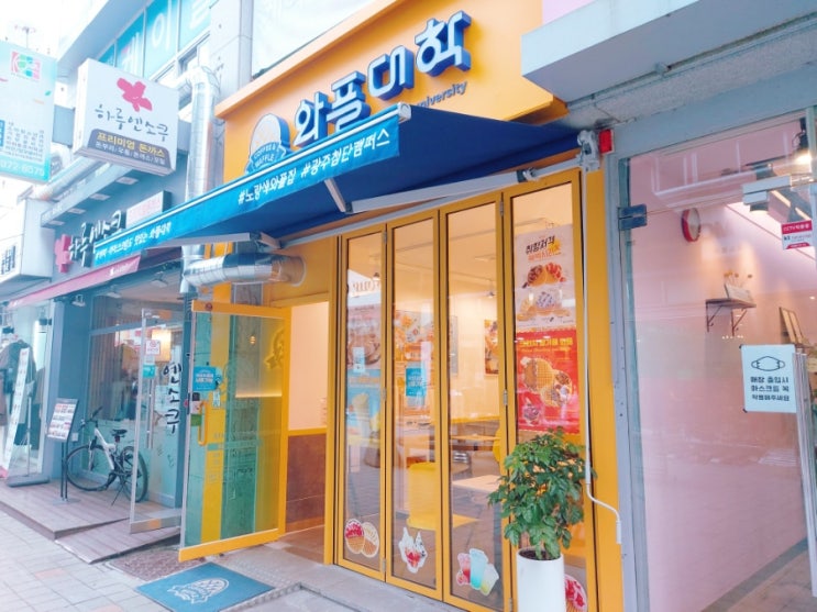  [광주첨단 와플대학] 블루베리젤라또 와플 후기