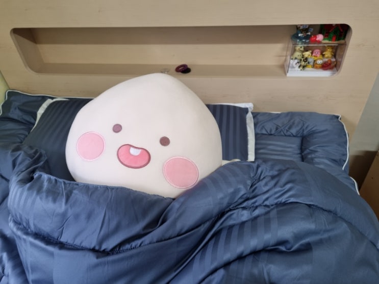  시제이온스타일에서 만난 바이알러 호텔식 도비자카드 침구세트 SS