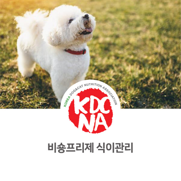  이지안 펫영양사가 알려주는 비숑브리제 식이관리 [한국반려동물영양협회/펫푸드자격증/반려밥상/펫푸드교육/전주강아지/군산/대전/거제/포항]_886