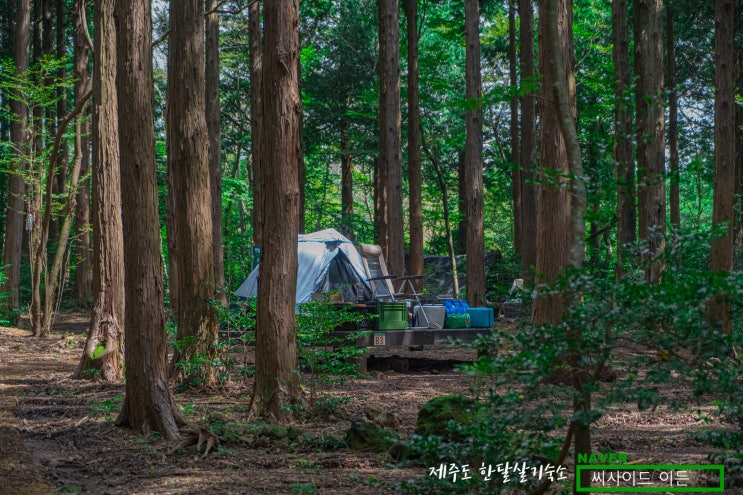  제주도 한달살기 숙소 SE 추천 "서귀포자연휴양림야영장"