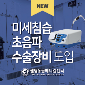  미세침습 초음파 수술장비 소노큐어 도입 안내 / 강아지 고양이 디스크 신경외과 종양 수술 가능, 조직 손상 최소화 (부산 수영 센텀동물메디컬센터)