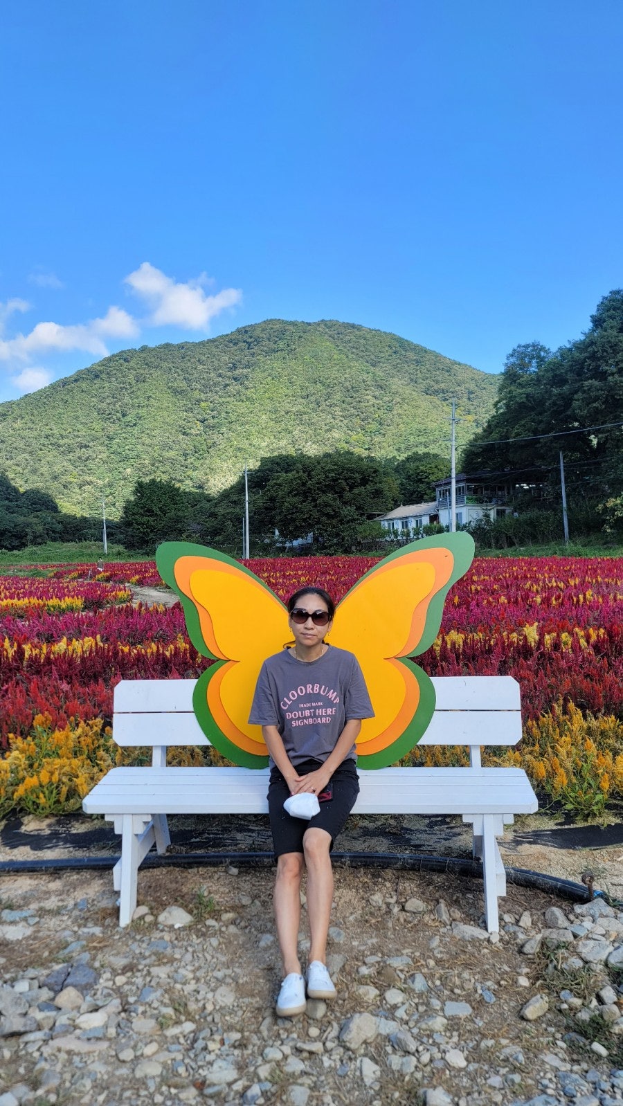 삼보가든 사진 5