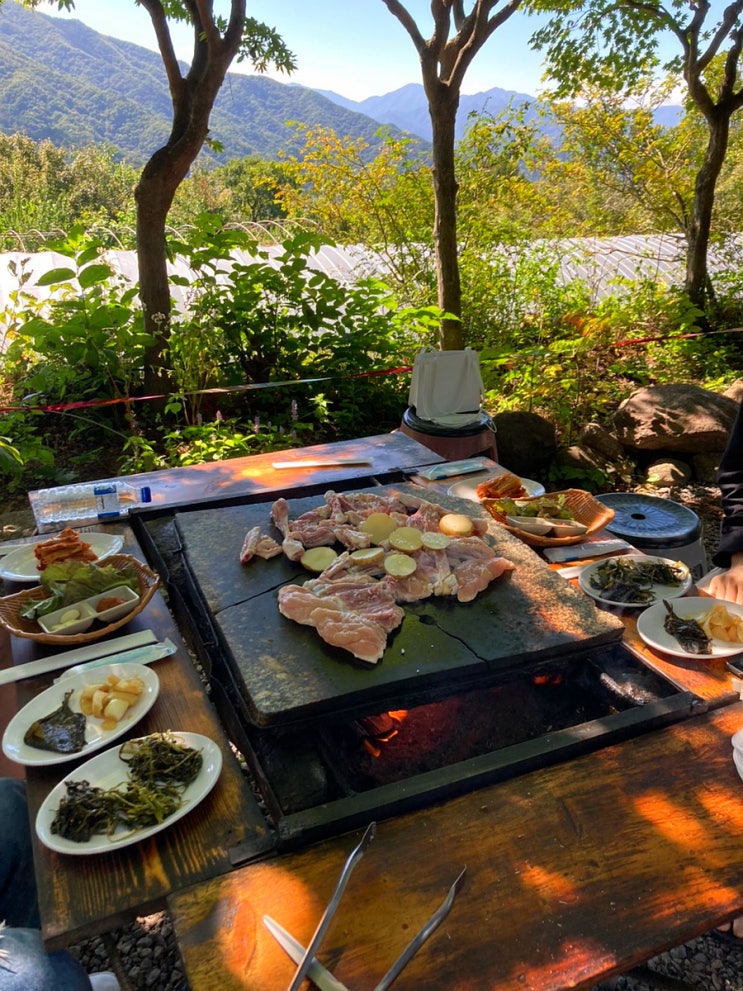 전남 구례 맛집 야외에서 즐기는 닭구이 '풀꽃농원' 전남 구례 맛집 야외에서 즐기는 닭구이 '풀꽃농원'