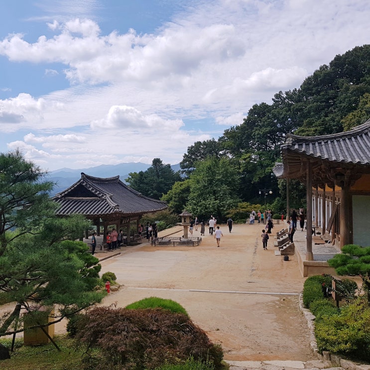  경북 영주 부석사 코시국 가을 관광지 무량수전 나들이 추천