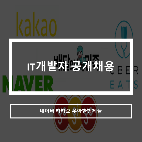  IT개발자 공채시작_세자리수 공개채용