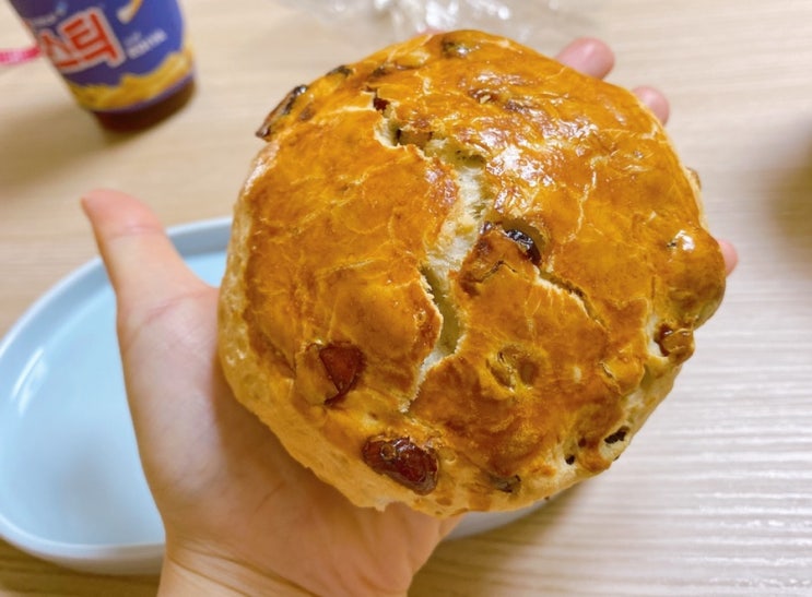  [순천유기농빵집] 여기가 찐!! 등잔밑이어둡다 집앞 스콘 찐 맛집 “굿베리베이커리카페”