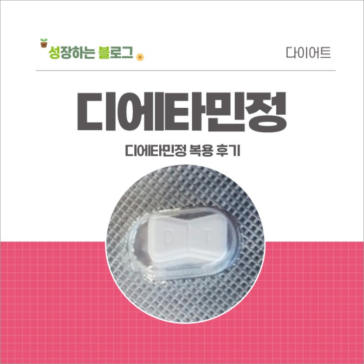  디에타민 복용 후기