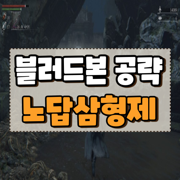  블러드본 공략 7편 금단의숲 야남의 그림자
