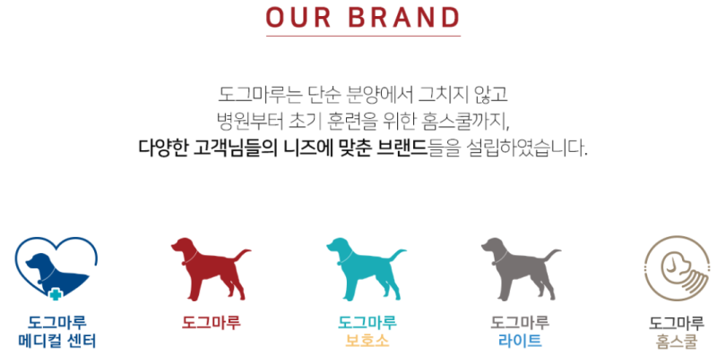 반려견 포비 : 네이버 블로그 반려견 포비 : 네이버 블로그
