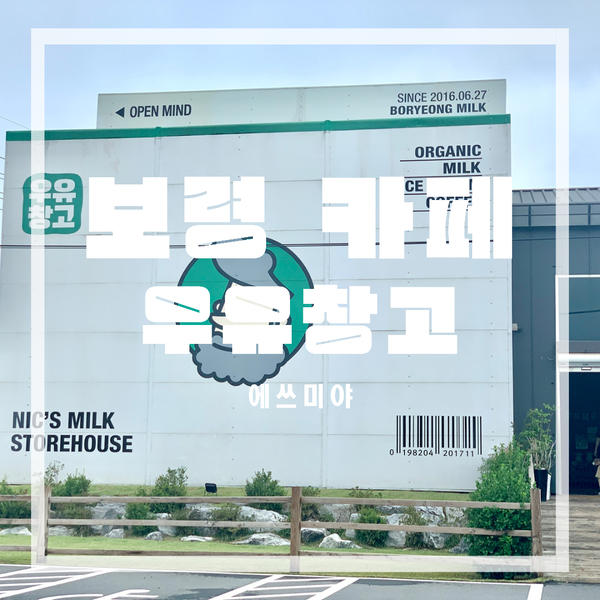  [보령 카페] 천북 신흥 교회 주차 위치 + 우유 아이스크림 우유 창고