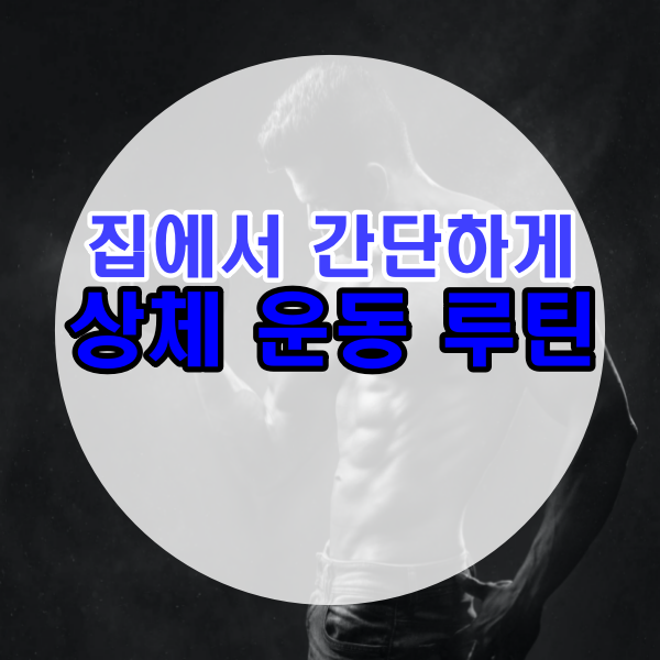  직장인 홈트레이닝 상체 운동 루틴