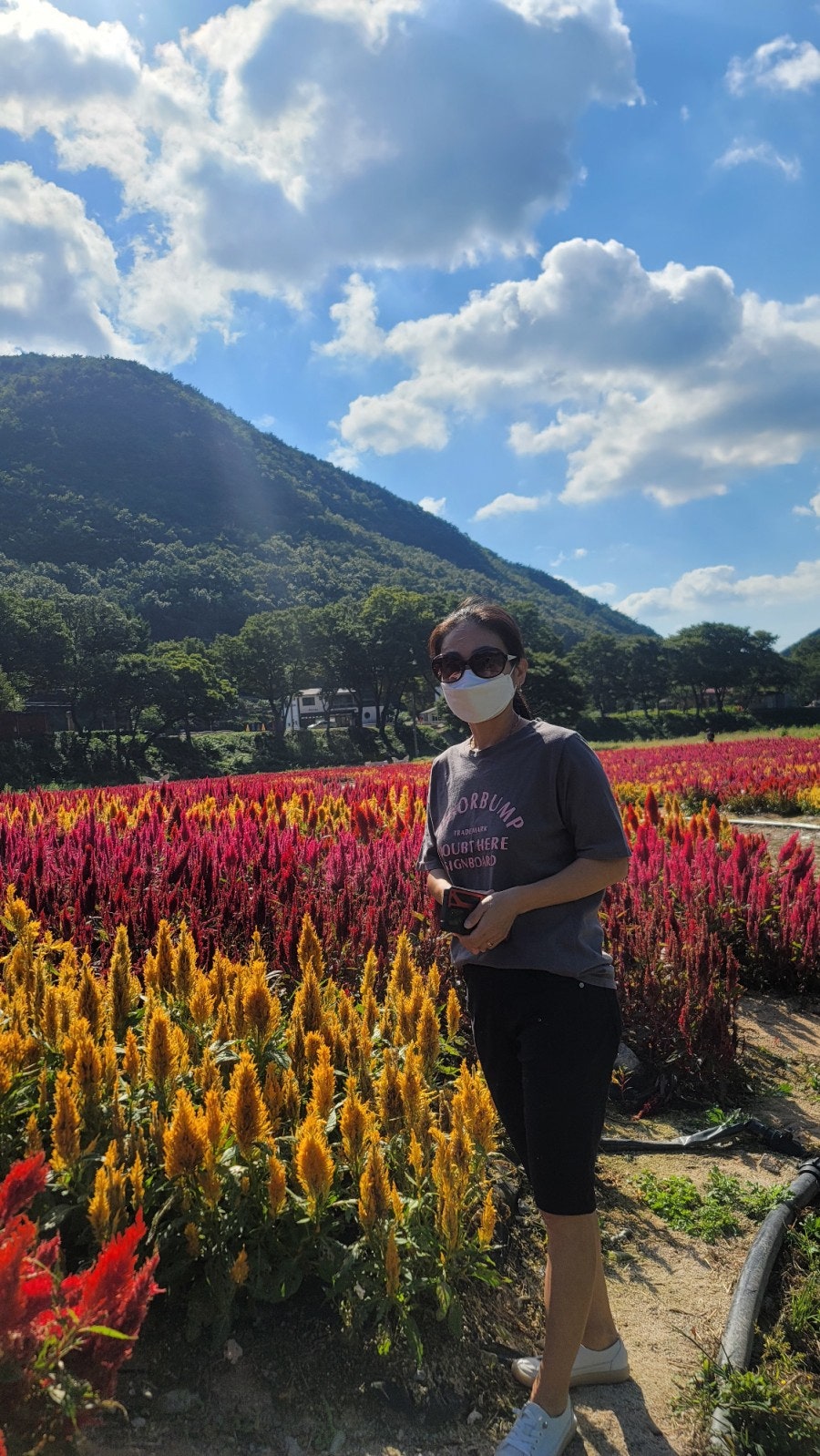 삼보가든 사진 3