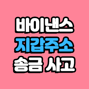  바이낸스 지갑주소 송금 사고