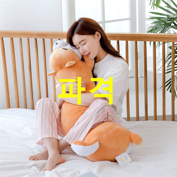  09월 24일자 HOT제품 조우니 뭉찌 말캉 모찌인형 바디필로우 리뷰와 구매정보
